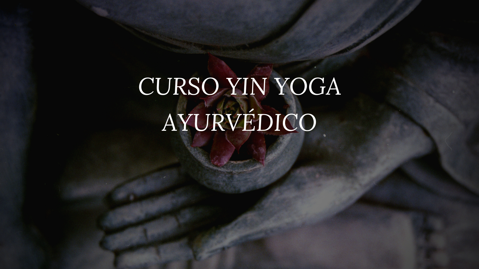 Curso Yin Yoga Ayurvédico